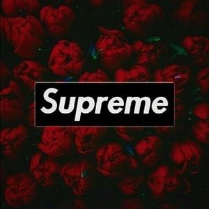 Meet your Posher, Nuno